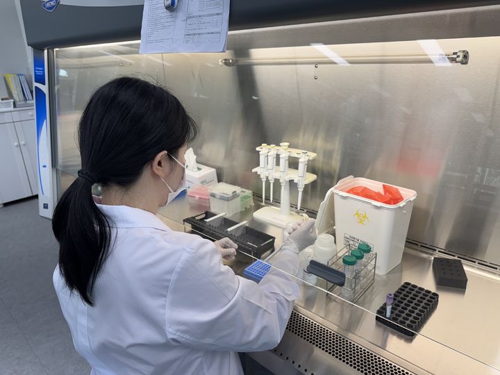 전남도, 지구 온난화 영향 겨울철 쯔쯔가무시증 환자↑