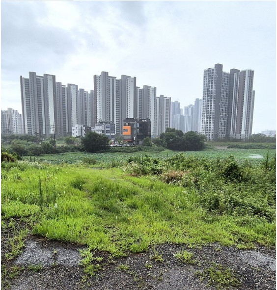 '전주농협, 100억대 부당대출 의혹