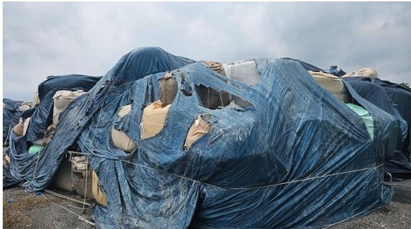 광양항 불법 폐기물 방치: 관리 부실의 현주소