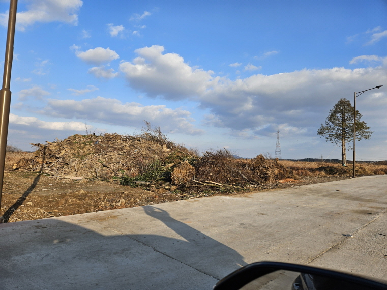 나주시 영산강공원 6년간 임목폐기물 방치, 환경 행정 신뢰 추락