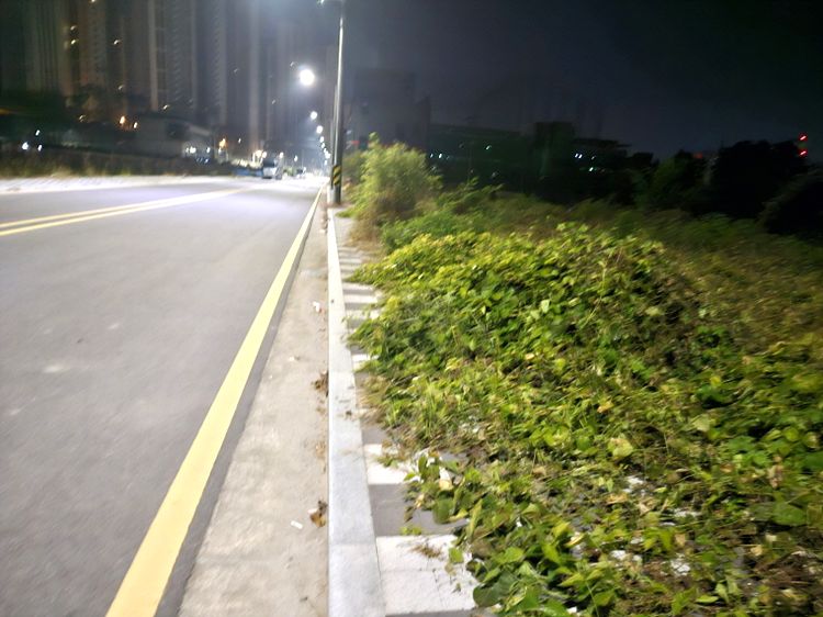 광주 북구 신용동 인도 ‘잡초 방치’에 시민 불만 고조…차도 이용 증가로 사고 위험