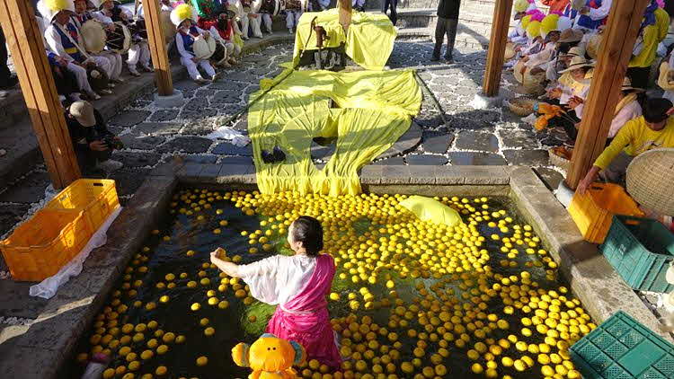 고흥유자축제, 3년 연속 전남도 대표축제 선정 쾌거
