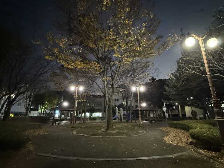 순천시, 밤에도 안심되는 공원환경 조성… 조명등 일제 점검