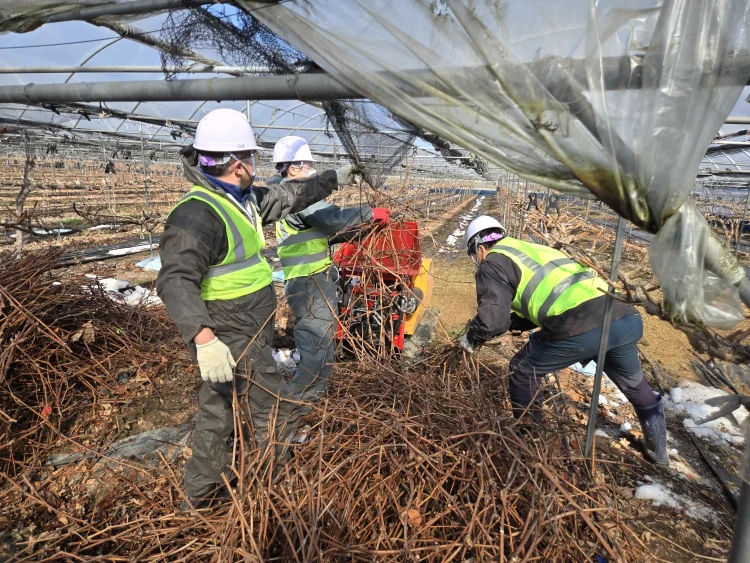담양군, 영농부산물 파쇄 지원으로 자원순환 농법 실천