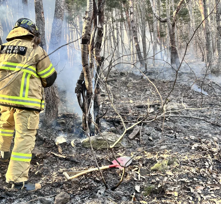 행안장관, 광양 산불에 