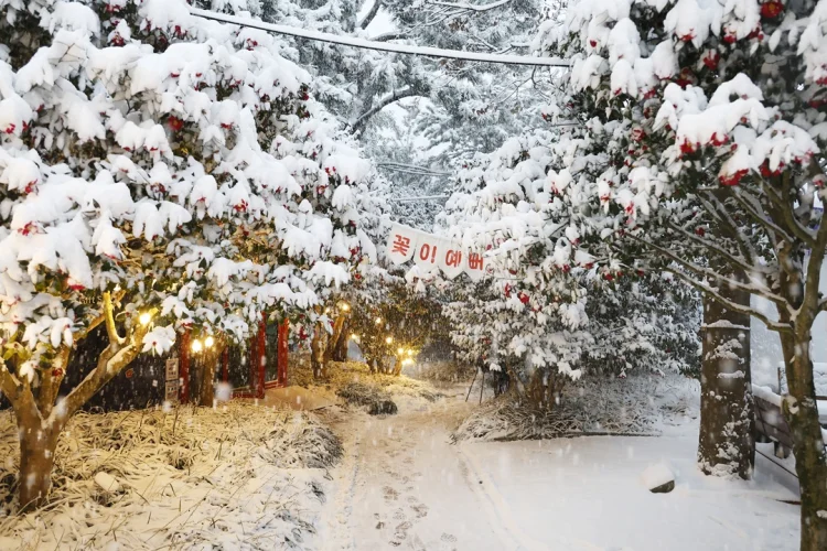 신안군, 목포시민 1004섬 분재정원 관람료 50% 할인 본격 시행