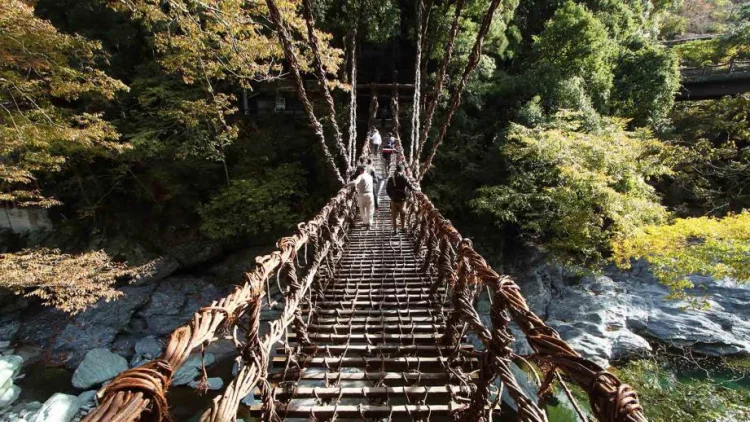 이야 계곡과 카즈라바시