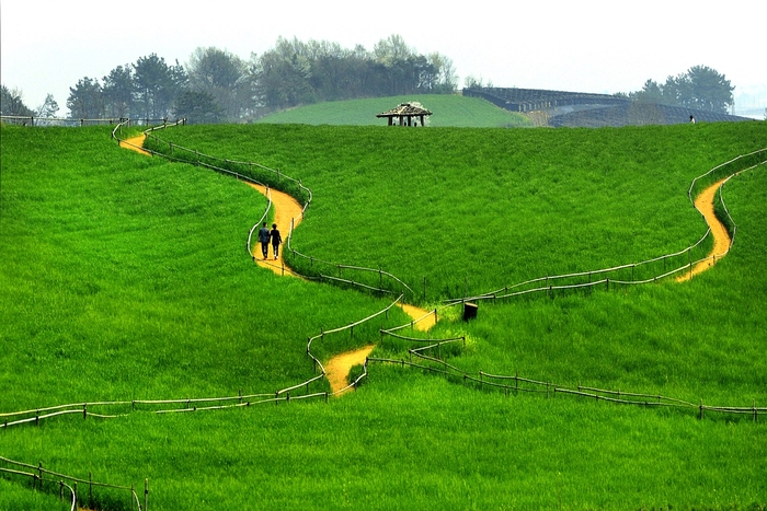 2026 고창 청보리밭 축제