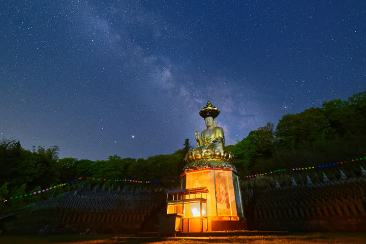 스마트폰 대신 숲, 사찰, 그리고 명상 … 템플스테이로 새해 디…